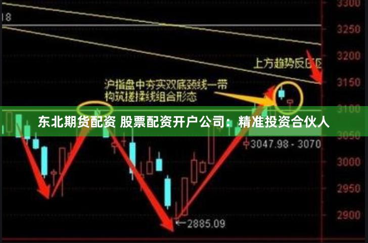 东北期货配资 股票配资开户公司:精准投资合伙人