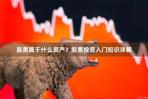 股票属于什么资产？股票投资入门知识详解