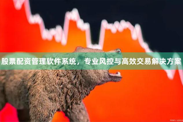 股票配资管理软件系统，专业风控与高效交易解决方案
