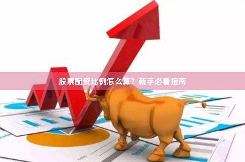 股票配资比例怎么算？新手必看指南